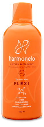 FLEXI - Harmony of your movement